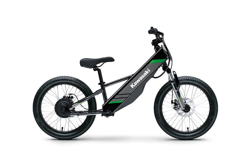 2025 Kawasaki ELEKTRODE 20