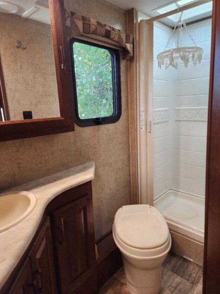 2015 FOREST RIVER Sunseeker